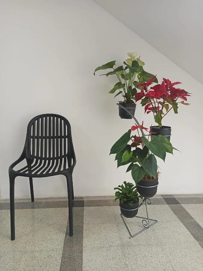 Hotel Boutique Estadio Μεντεγίν Κολομβία